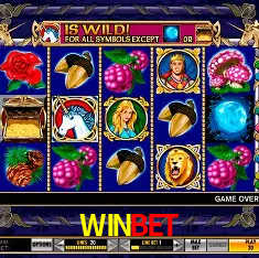 WINBET Cassino - 80+ Mesas ao Vivo
